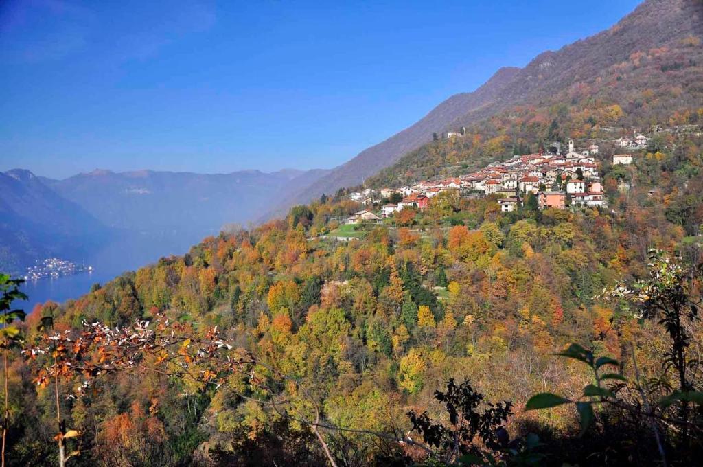 B&B Aquarelle Faggeto Lario Zewnętrze zdjęcie
