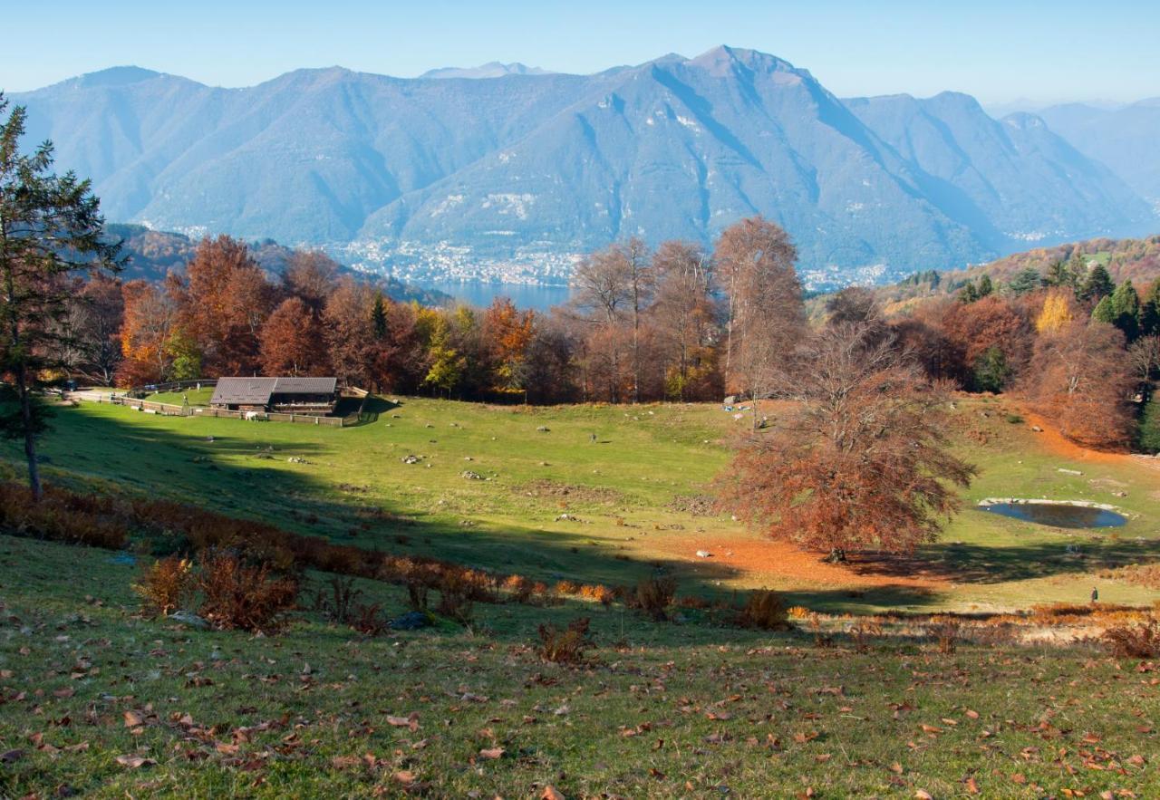 B&B Aquarelle Faggeto Lario Zewnętrze zdjęcie